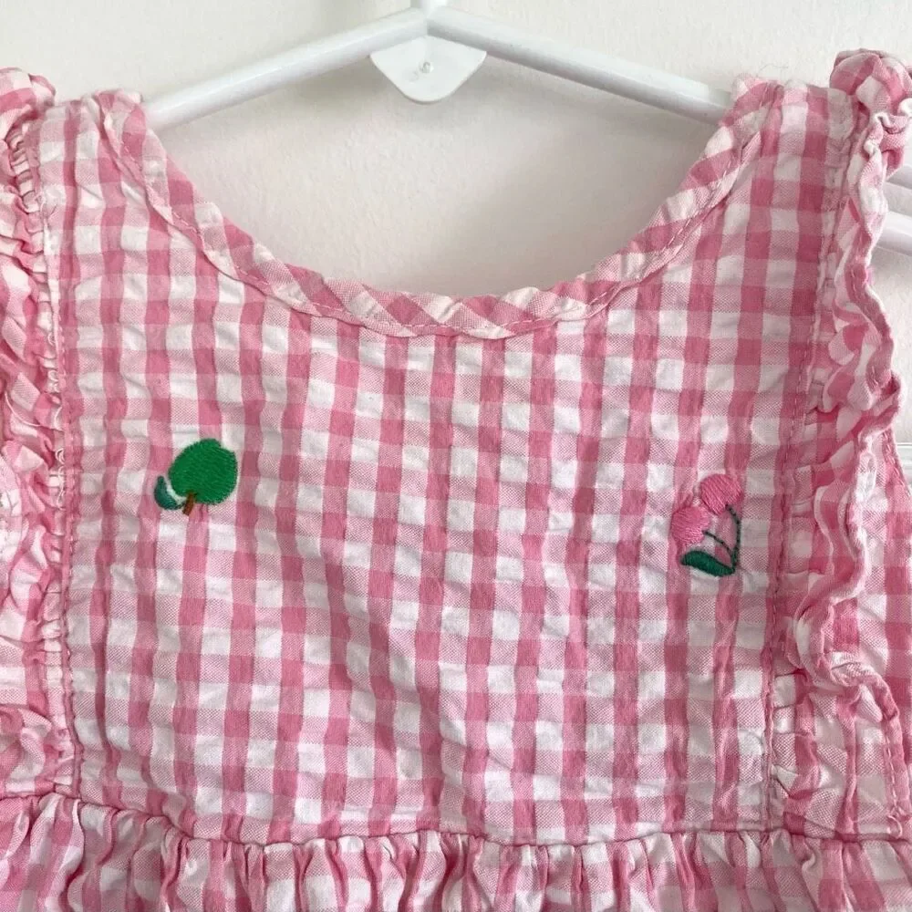 Baby Boden Pink Gingham Fruits Embroidered Dress